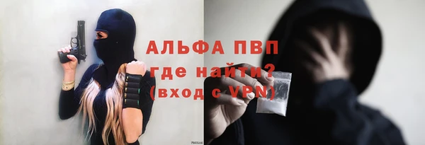 гидра Алексин